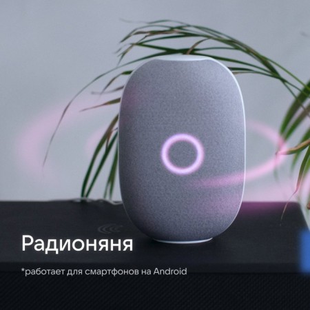 Smart column VK capsule (MRC01WH), voice assistant Maroussia, 30 W, Wi-Fi, BT 5.0, white-7