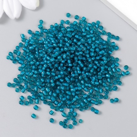 Beads "Astra" 11/0, 20 g (21A-4 turquoise/transparent with the color center)-1