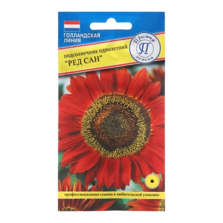 Flower seeds sunflower one -year -old "Red San", 7 pcs