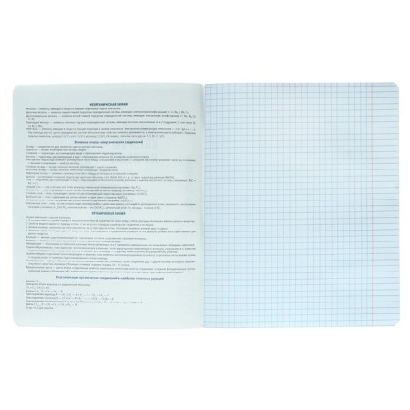 Notebook subject “phrases with character”, 48 sheets in the “chemistry” cage, covered cardboard, selective twin-lak, UV-lak, offset block-2
