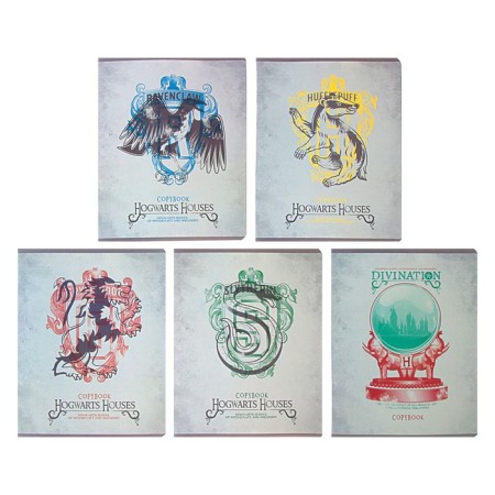 Notebook of 48 sheets in the Harry Potter cage, covered cardboard, matte lamination, mix