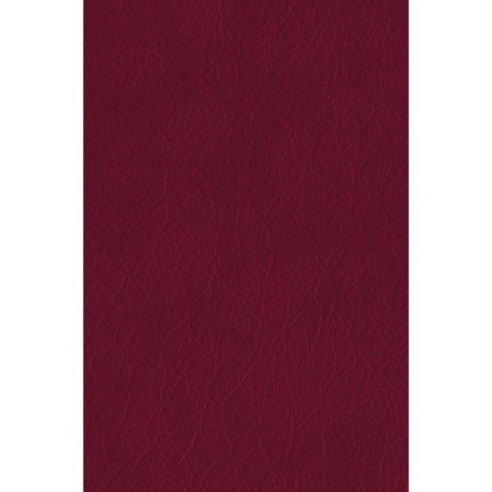 Pride and Prejudice. The arguments of reason. Osten J.-1