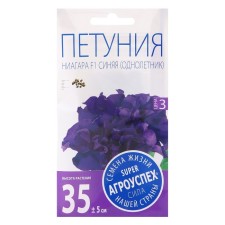 Flowers of Petunia 