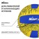 Volleyball Minsa, PU, ​​machine stitching, 18 panels, p. 5