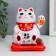 Plastic pendulum from the solar battery "Cat manei-nako Kosynka with flowers" White 9.5x10x9.5 cm 73535