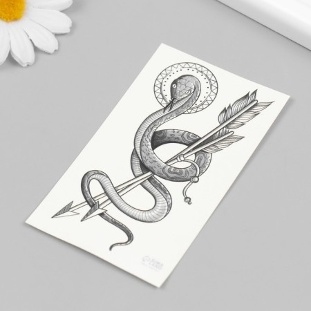 Black body tattoo "snakes with arrows" 10.5x6 cm-2