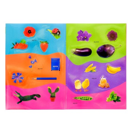 Book with stickers "Color", 12 p.-2