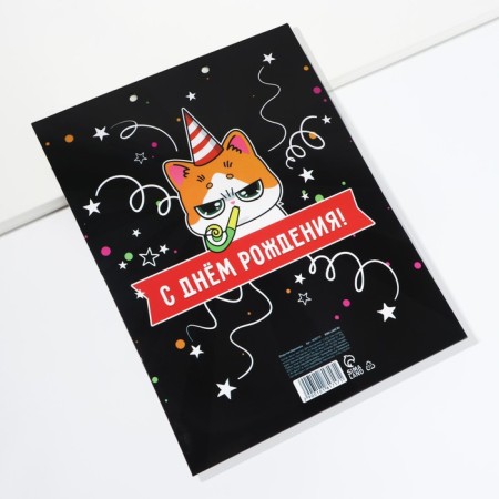 Envenue for money, a birthday card "Congratulatory", with a cat, 6 sheets, 16.3 x 21.3 cm-11