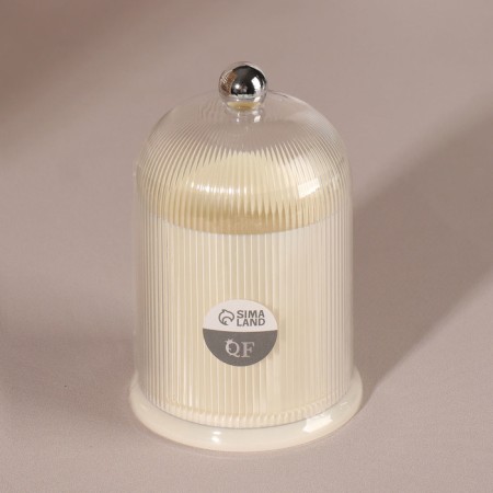 Organizer for cotton sticks, with a lid, d = 7.4 × 11.6 cm, milk/transparent color-3