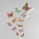 Butterflies cardboard "animal skins" set 12 pcs h = 4-10 cm
