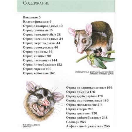 Full encyclopedia "Animals". Schoolboy Yu. K.-4