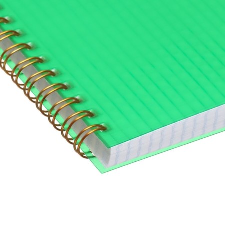 Notebook on the crest A5 96 sheets in the Calligrata cell green, plastic cover, offset block-5