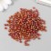 Beads for creativity plastic "Bronze mother -of -pearl" set 20 g d = 0.4 cm