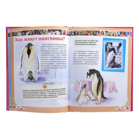 The first encyclopedia for girls. Ermakovich D.I.-2