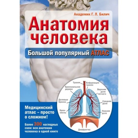 Human anatomy: a large popular atlas. Bilich G.L.