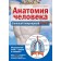 Human anatomy: a large popular atlas. Bilich G.L.