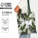 Bag Schoper "Tropics" 35x0.5x40 cm, Department without lightning, without lining, green