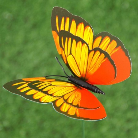 Plug "butterfly octavia" 8x10cm/25cm, mix-21