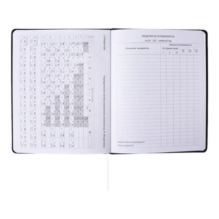Universal diary for grade 1-11 Morning, integral cover, artificial leather, silkography, liesse, 80 g/m2-10