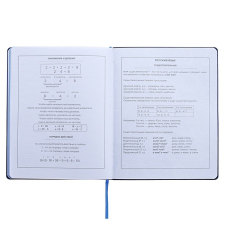 Universal Diary Grade 1-11, 48 sheets "sneakers", soft cover of artificial leather, silk-aircraft, OFSET block-12