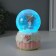 Souvenir Polystone Water Ball Light, Music "Bear and Cake" MIX 10.2x10.2x15.8 cm