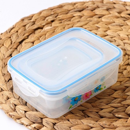 A set of lunch boxes of plastic rectangular "Polyanka", 3 pcs: 150 ml, 300 ml, 500 ml, color mix-7