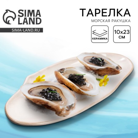 Ceramic plate "Sea shell", 10 x 23 cm white, white color