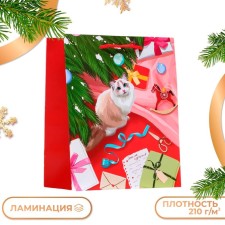 Gift Package 