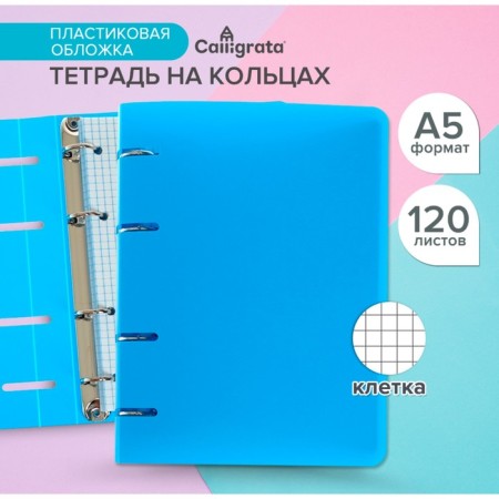 Notebook on rings A5 120 sheets in Calligrata cage is blue, plastic cover, offset unit
