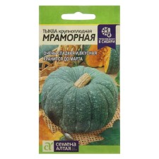 Seeds of pumpkin 