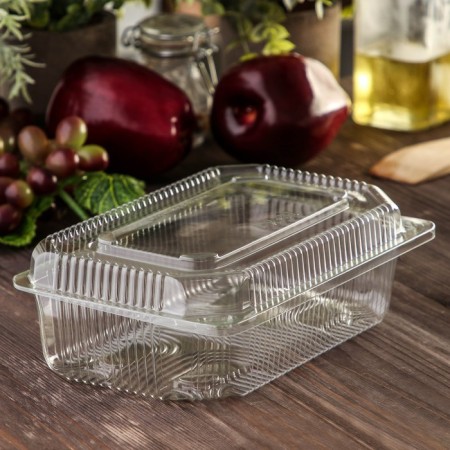 The plastic disposable container with an insoluble lid pr-K-7a, 250 ml, 21.5 × 13.5 × 7.2 cm, the color is transparent