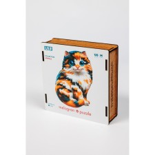 Figure puzzle 