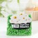 Sprinking confectionery soft: green, 50 g.