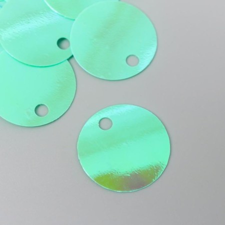 Sequins "circle" mint set 30 g d = 2 cm