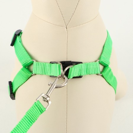 Set "Basis", leash 120 x 1.5 cm, OG 32-46 cm, green-1