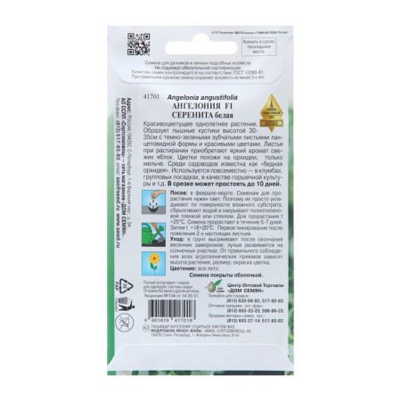 Angelonia flowers "Serenite F1 White", 3 pcs-1