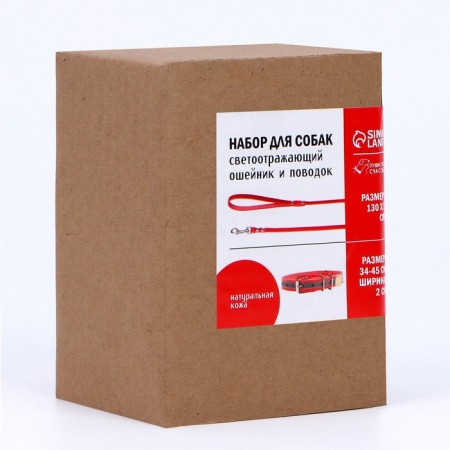 Set of collar (34-45x2 cm) reflective and leash (130x1 cm), red-8