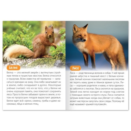 The training book "Animals of Eurasia", 20 p.-1