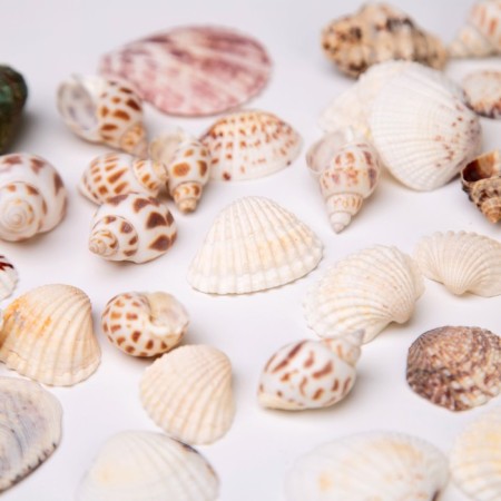 Set of decor "Sea"-2