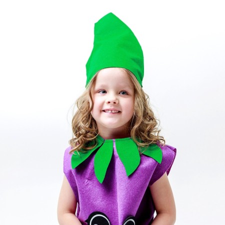 Carnival set "Cool eggplant", felt-3