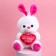 Soft toy "You conquered my heart", Bunny, Mix color