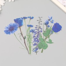 Plastic stickers 