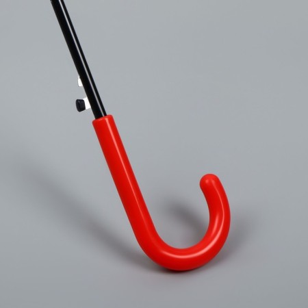 Umbrella - a semiautomatic “fruits” cane, 8 knitting needles, r = 45 cm, mix drawing-13
