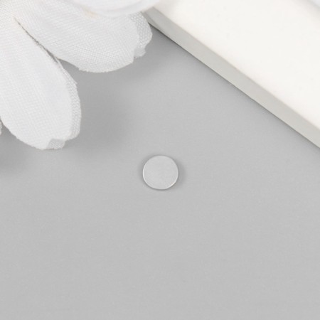 Magnet Technical Silver Circle 5x5x1 mm-2