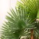 Artificial tree "Branchy palm" 120 cm
