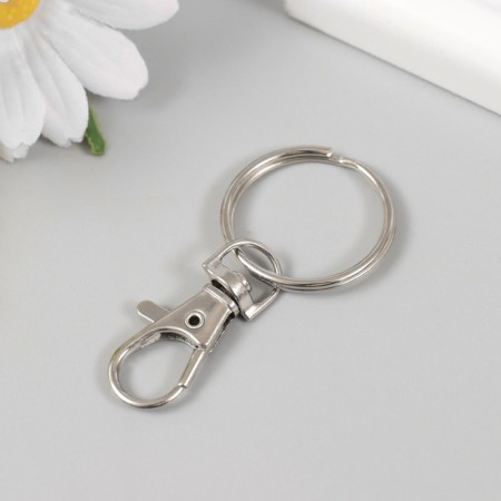Metal keychain "Carabiner with a ring" silver 2.8x6 cm-1