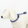 Collar - dog noisy, 0.8 x 45 cm, blue -red