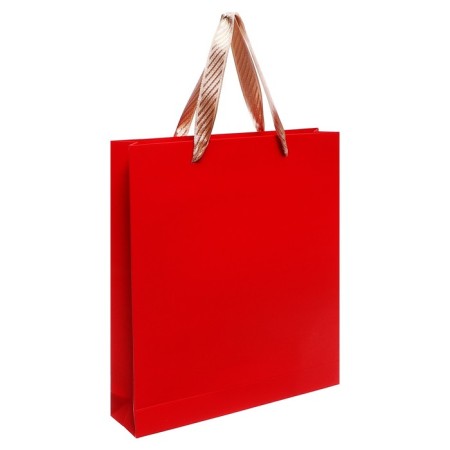 Deliciper of Leduced A5, 80 sheets, line, cover of leatherette, with a handle, in a gift box, red-10