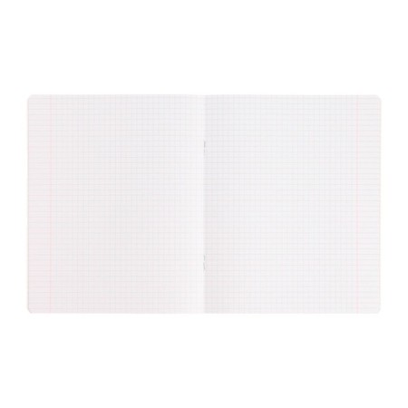 Notebook 24 sheets in a cage is a monophonic “classic with a corner. Economy”, cover shaking cardboard, VD-clus, block No. 2 (gray sheets), mix-6
