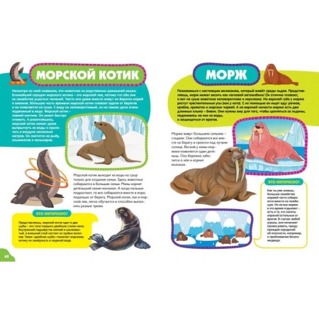 Animals for kids-13